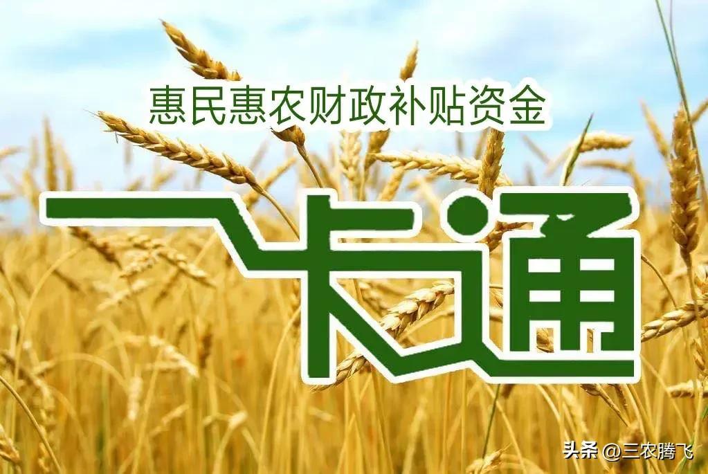 2023年惠民惠农财政补贴项目标准