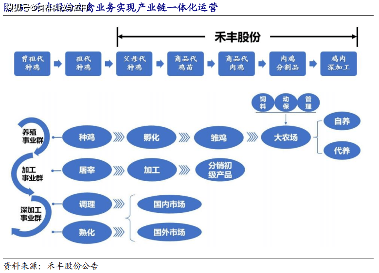 河南种鸡养殖技术哪家好_河南鸡苗养殖基地_河南养鸡主要是什么品种