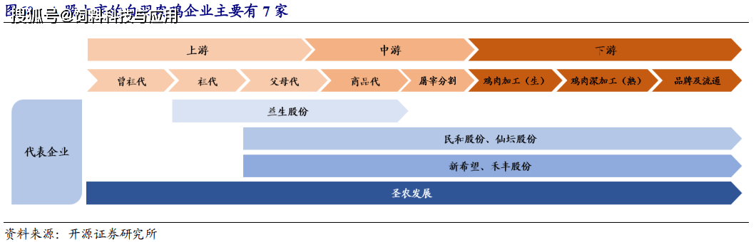 河南鸡苗养殖基地_河南种鸡养殖技术哪家好_河南养鸡主要是什么品种