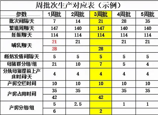 仔猪养殖技术培训视频_仔猪养殖技术视频播放_视频培训养殖仔猪技术教程