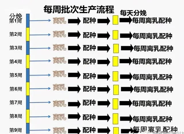 视频培训养殖仔猪技术教程_仔猪养殖技术培训视频_仔猪养殖技术视频播放