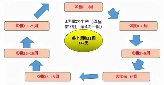 视频培训养殖仔猪技术教程_仔猪养殖技术培训视频_仔猪养殖技术视频播放