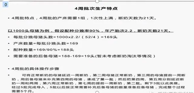 仔猪养殖技术培训视频_仔猪养殖技术视频播放_视频培训养殖仔猪技术教程