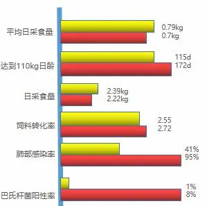 仔猪养殖技术培训视频_仔猪养殖技术视频播放_视频培训养殖仔猪技术教程