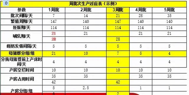 仔猪养殖技术培训视频_仔猪养殖技术视频播放_视频培训养殖仔猪技术教程