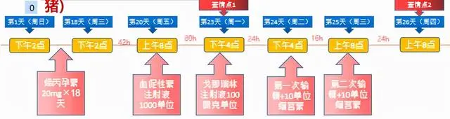 仔猪养殖技术培训视频_视频培训养殖仔猪技术教程_仔猪养殖技术视频播放