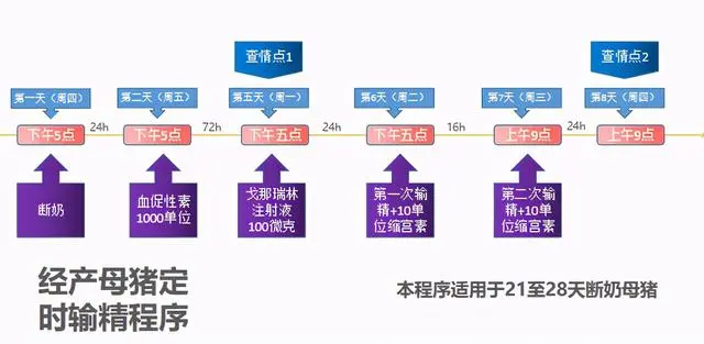 仔猪养殖技术视频播放_视频培训养殖仔猪技术教程_仔猪养殖技术培训视频