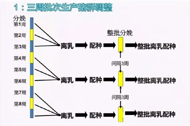 仔猪养殖技术培训视频_视频培训养殖仔猪技术教程_仔猪养殖技术视频播放