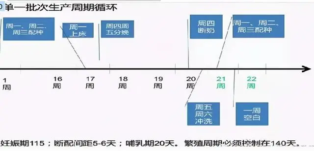 仔猪养殖技术视频播放_仔猪养殖技术培训视频_视频培训养殖仔猪技术教程