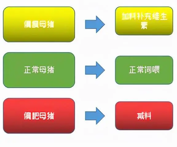 仔猪养殖技术视频播放_仔猪养殖技术培训视频_视频培训养殖仔猪技术教程