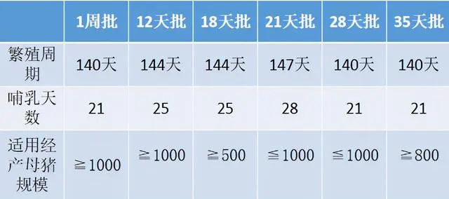 仔猪养殖技术培训视频_仔猪养殖技术视频播放_视频培训养殖仔猪技术教程