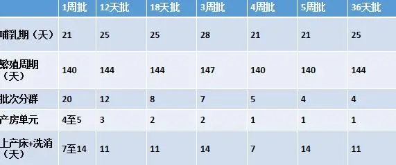 视频培训养殖仔猪技术教程_仔猪养殖技术培训视频_仔猪养殖技术视频播放