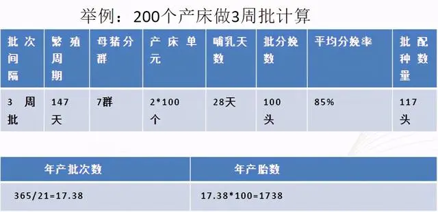 仔猪养殖技术视频播放_视频培训养殖仔猪技术教程_仔猪养殖技术培训视频