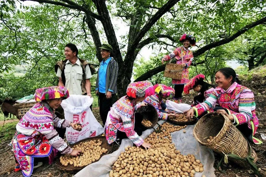 致富经如何联系_致富办法_致富经里面的联系方式