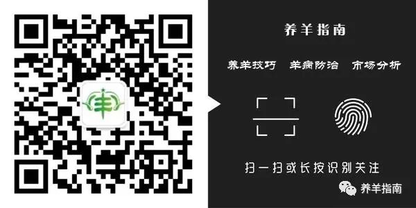 山羊养殖_山羊养殖农村技术规范_农村山羊养殖技术