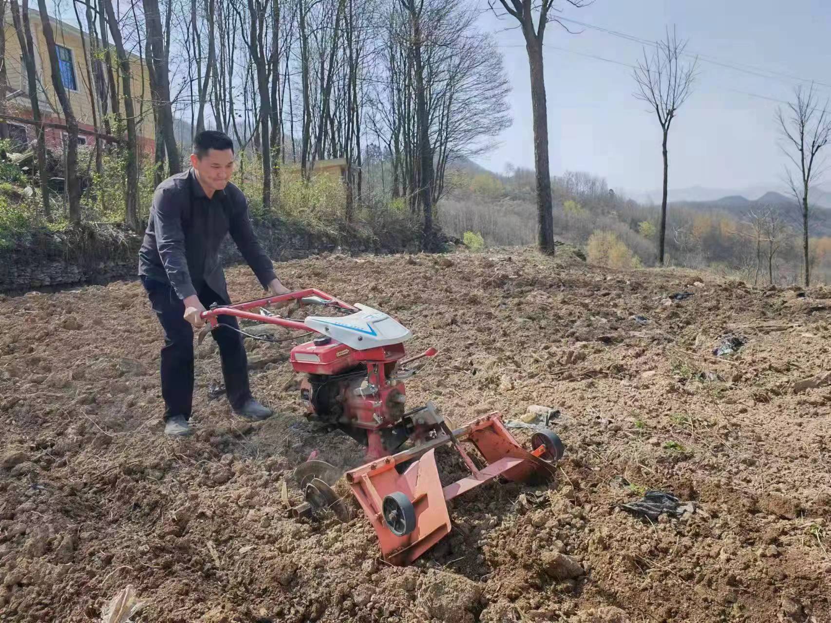 烤烟种植农民致富_农民种烤烟图片_致富种植农民烤烟视频