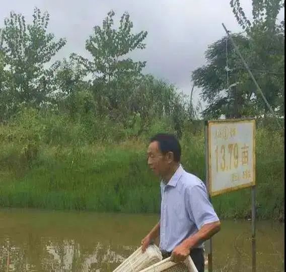 湖北荆州适合养殖什么_荆州养殖基地_荆州养殖致富项目