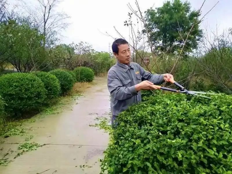 荆州养殖基地_荆州养殖致富项目_湖北荆州适合养殖什么