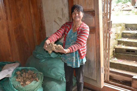 致富中医种植项目怎么样_致富种植中药材合作社_中医种植致富项目