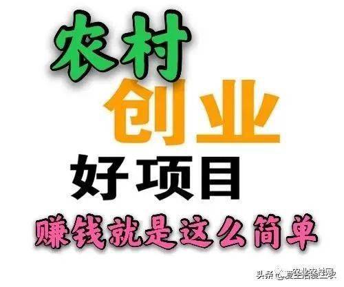 这10种中药材种植也是非常赚钱的农业项目，一起来了解一下