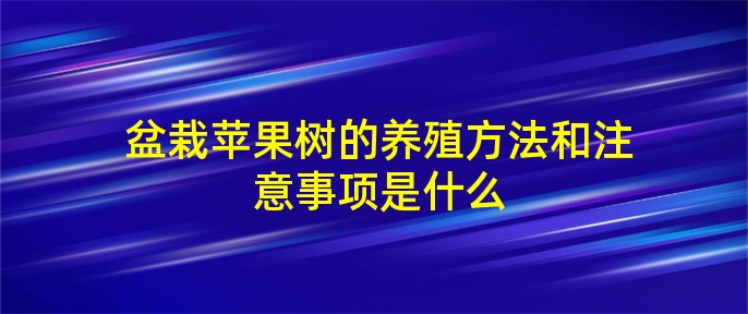 盆栽苹果树的养殖方法和注意事项是什么