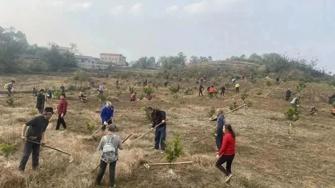 蘑菇养殖视频播放_蘑菇养殖致富视频_蘑菇培植的视频