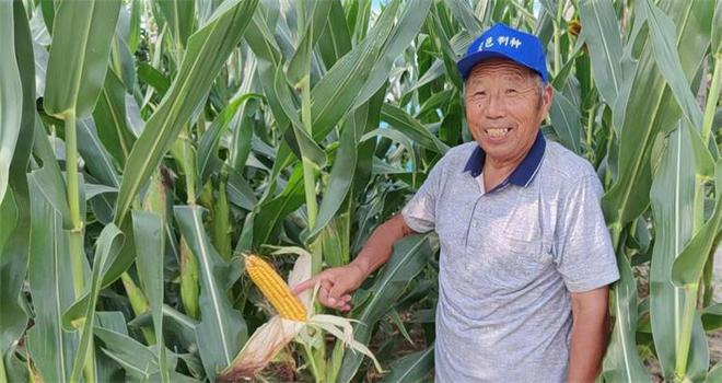 致富种植农民大量收入_致富种植农民大量农作物_农民大量种植致富