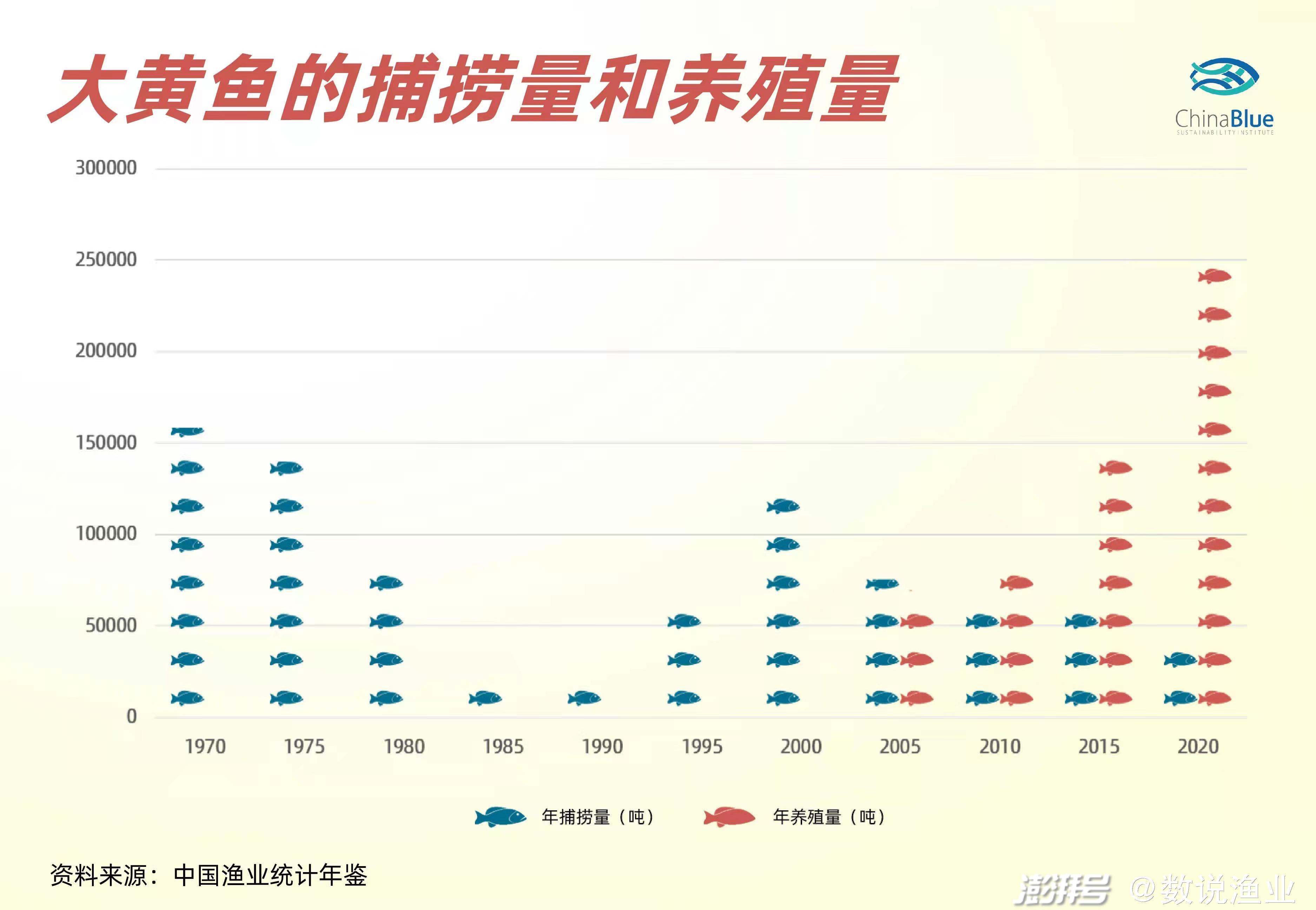 蘑菇养殖技术视频_蘑菇养殖户_野蘑菇养殖技术