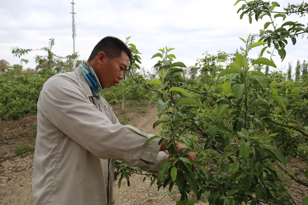 新型农业经营让职工群众搭上致富快车