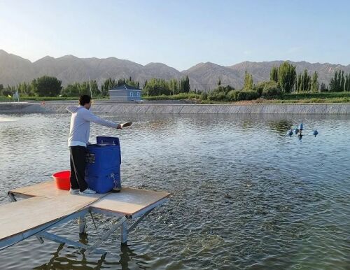 为农业插上科技翅膀！沙漠边缘建起新疆首个“海水养殖”基地