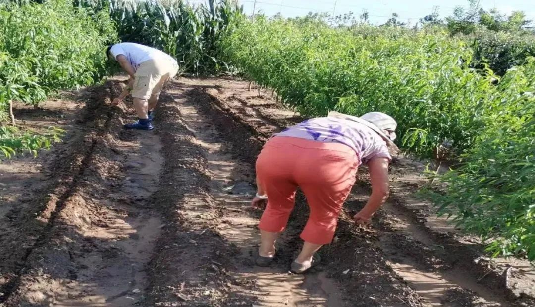 农业养殖致富项目_新型农业养殖致富_农业致富项目养殖业