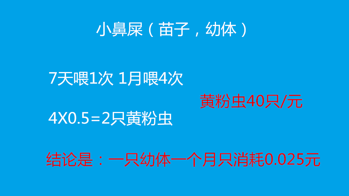 黄粉虫养殖技术与经验_黄粉虫养殖技术与经验_黄粉虫养殖技术与经验