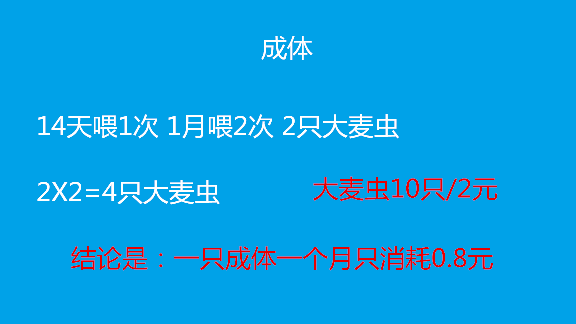 黄粉虫养殖技术与经验_黄粉虫养殖技术与经验_黄粉虫养殖技术与经验