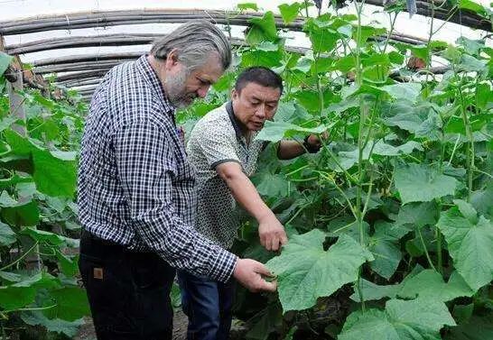 以色列种植致富_以色列农业种植_以色列种植技术