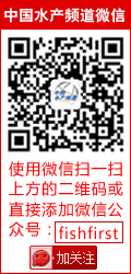 石斑鱼养殖管理技术之选苗、消毒、密度、投喂