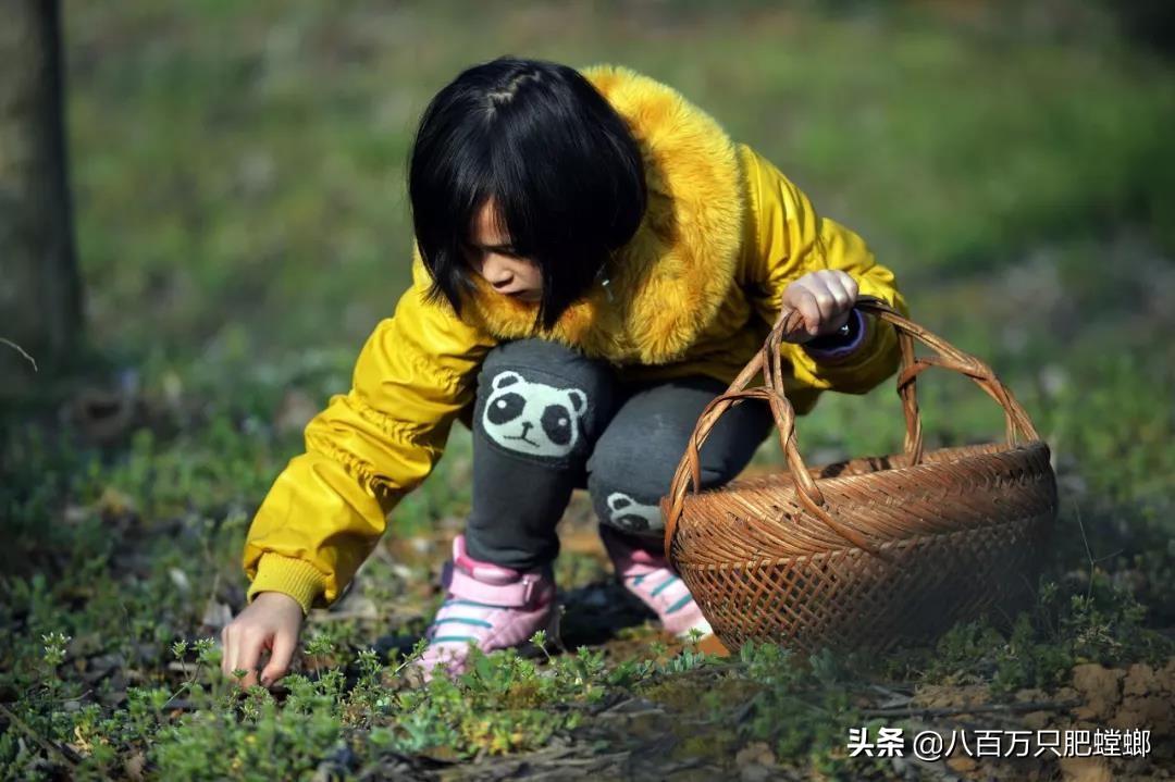 春季著名野菜大全