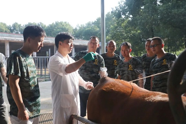 致富养殖业_老人养殖致富案例_致富养殖视频