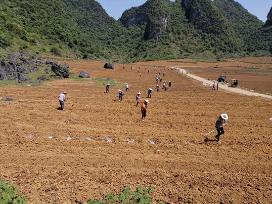 这块脱贫阵地打定主意“准时交卷”