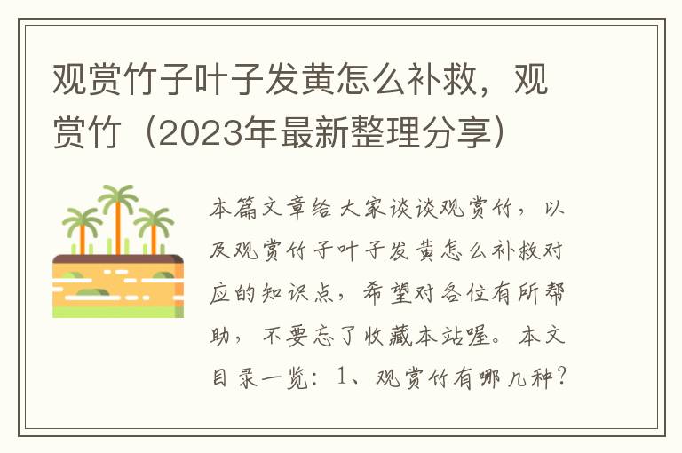 观赏竹子叶子发黄怎么补救，观赏竹（2023年最新整理分享）