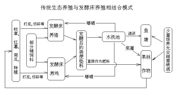 日本养殖技术_日本养殖致富_日本养殖业