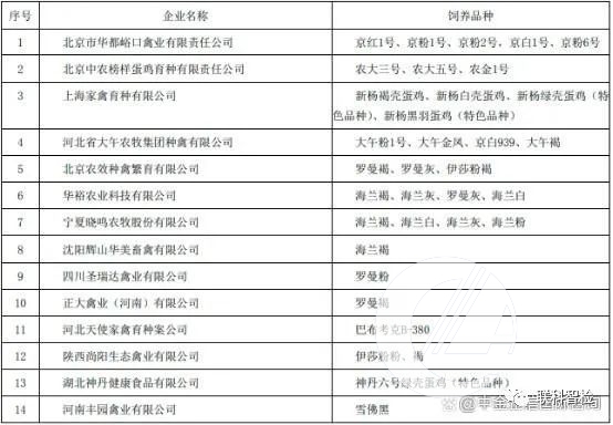 2023年国内蛋鸡养殖行业发展形势与趋势分析