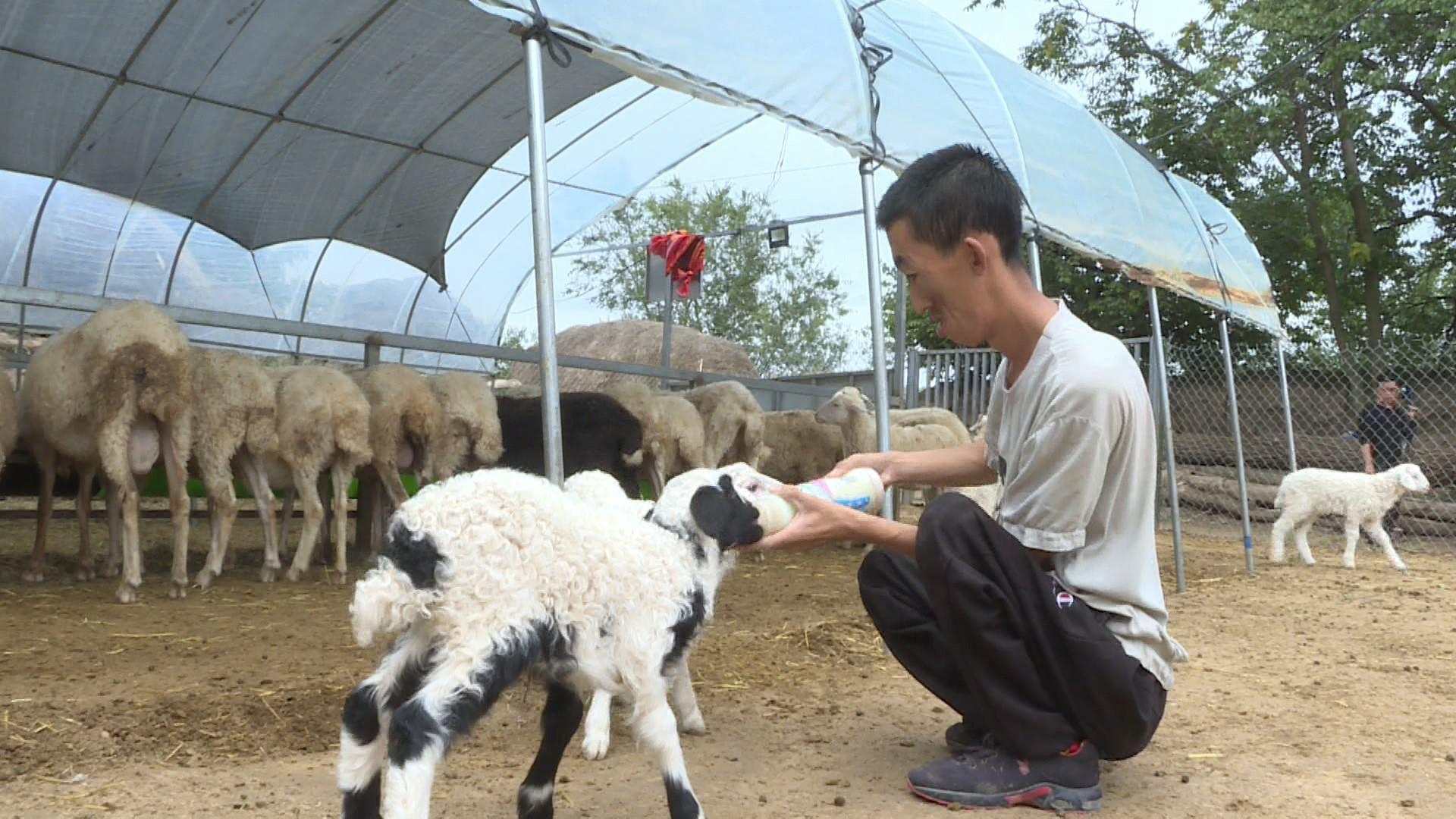 致富养殖信息_养殖致富青年_养殖致富经