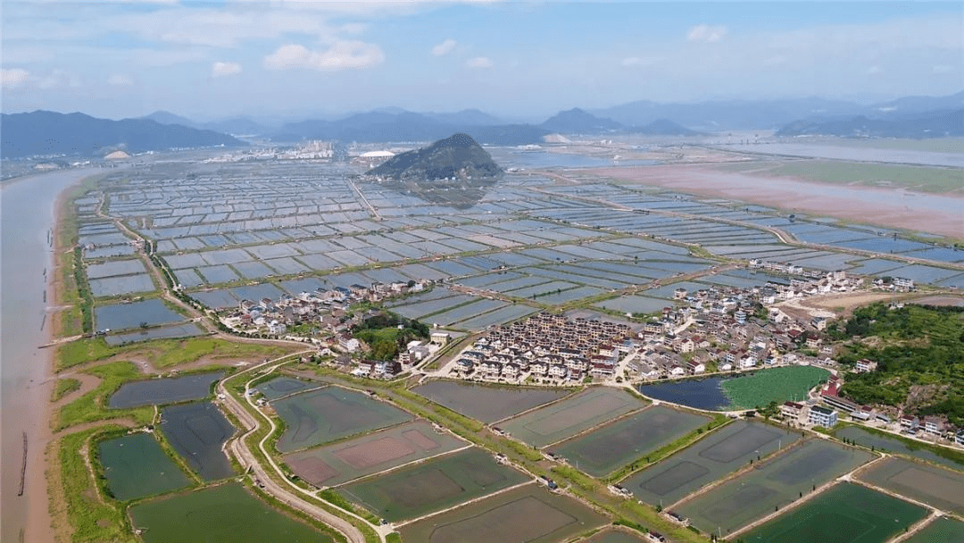 桔子种植致富视频_桔子种植技术过程视频_种植橘子的利润