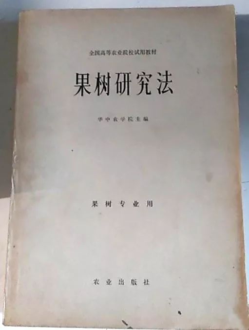 高良姜种植致富故事_高良姜种植多少年有收入_高良姜最新种植面积