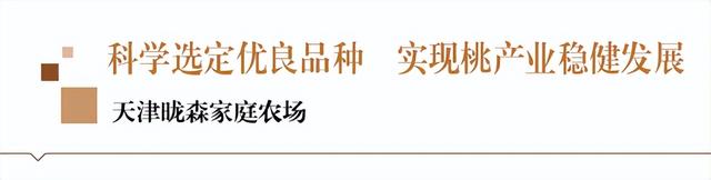 科学选定优良品种 实现桃产业稳健发展——天津昽森家庭农场