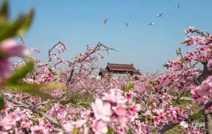 宜兴蔬菜种植基地_宜兴种植致富项目_致富种植宜兴项目有哪些