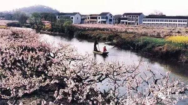 致富种植宜兴项目有哪些_宜兴种植致富项目_宜兴蔬菜种植基地