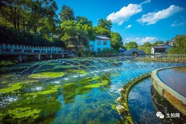 致富种植宜兴项目有哪些_宜兴种植致富项目_宜兴蔬菜种植基地