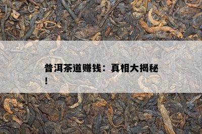 普洱茶道赚钱：真相大揭秘！