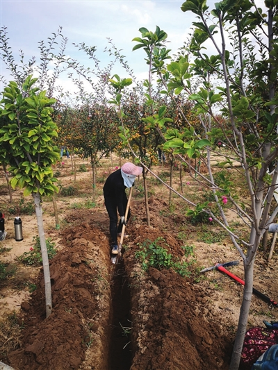 仙桃养猪_仙桃养殖基地_致富经仙桃养殖黄算